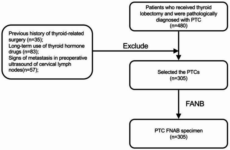 https://cdn.ncbi.nlm.nih.gov/pmc/blobs/5fad/12217172/d91851ccb686/41598_2025_5747_Fig1_HTML.jpg