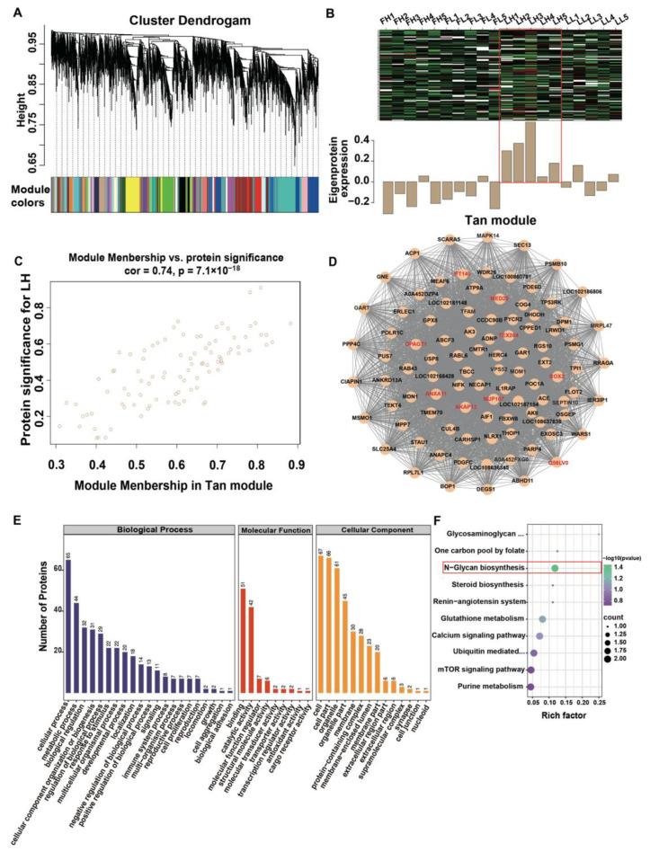 https://cdn.ncbi.nlm.nih.gov/pmc/blobs/5fb0/9737051/cad5db611f17/ijms-23-14888-g002.jpg