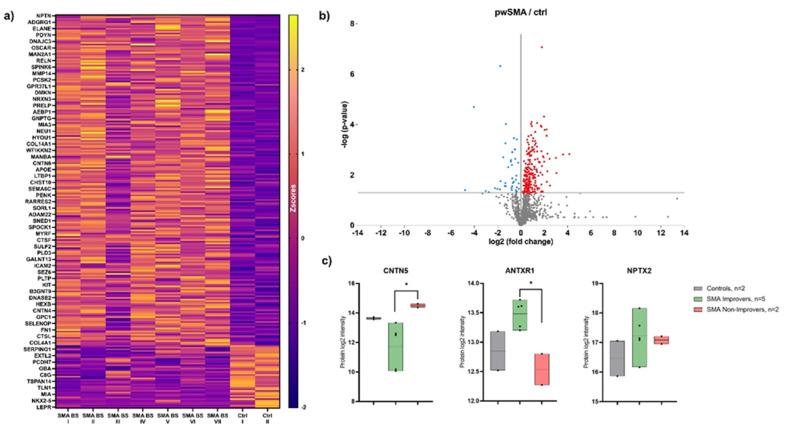https://cdn.ncbi.nlm.nih.gov/pmc/blobs/5fb1/12383730/58fd9bd97f9f/biomedicines-13-01821-g002.jpg