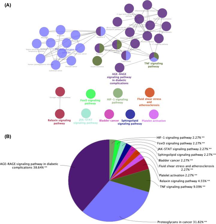 https://cdn.ncbi.nlm.nih.gov/pmc/blobs/5fb1/8209169/1c9c1d19295a/bsr-41-bsr20203520-g6.jpg