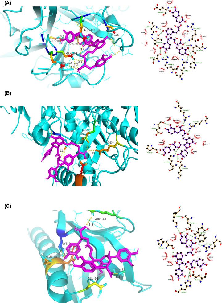 https://cdn.ncbi.nlm.nih.gov/pmc/blobs/5fb1/8209169/c352b0cc3fdc/bsr-41-bsr20203520-g7.jpg