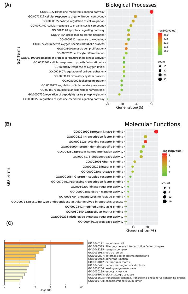 https://cdn.ncbi.nlm.nih.gov/pmc/blobs/5fb1/8209169/c66ad471a6b9/bsr-41-bsr20203520-g5.jpg