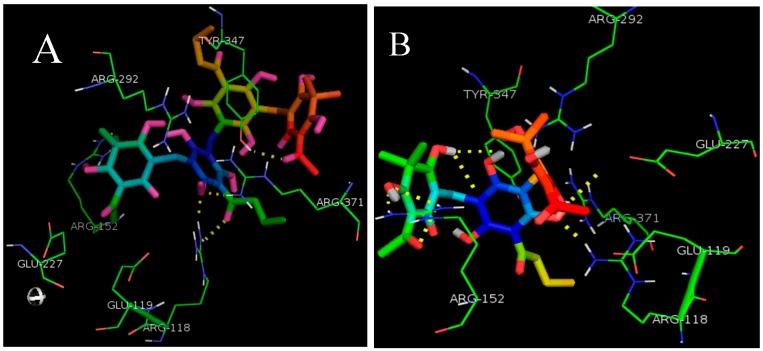 https://cdn.ncbi.nlm.nih.gov/pmc/blobs/5fb2/6155227/15e569178d51/molecules-22-00431-g003a.jpg