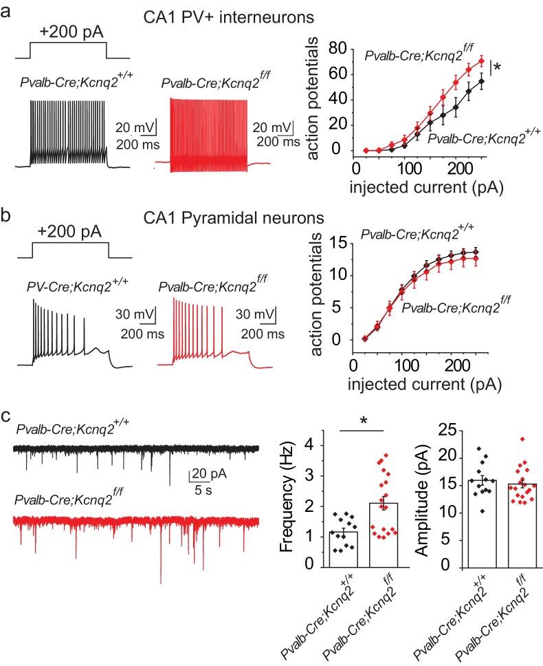 https://cdn.ncbi.nlm.nih.gov/pmc/blobs/5fb2/6211828/15afec709e60/elife-38617-fig3.jpg