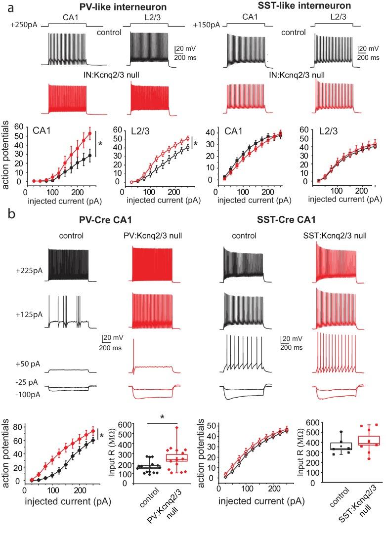 https://cdn.ncbi.nlm.nih.gov/pmc/blobs/5fb2/6211828/1e612aff63d9/elife-38617-fig2.jpg
