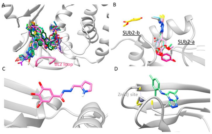 https://cdn.ncbi.nlm.nih.gov/pmc/blobs/5fb4/11820935/83baf2325e49/molecules-30-00491-g008.jpg