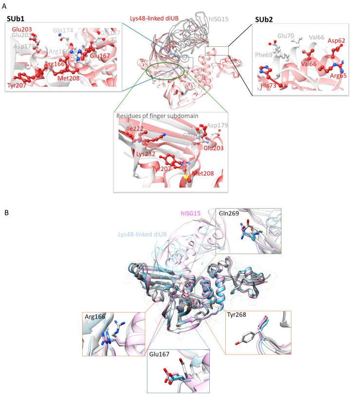https://cdn.ncbi.nlm.nih.gov/pmc/blobs/5fb4/11820935/8895c76c3cab/molecules-30-00491-g005.jpg