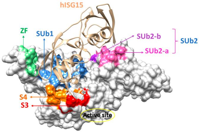 https://cdn.ncbi.nlm.nih.gov/pmc/blobs/5fb4/11820935/e10dc57a85ca/molecules-30-00491-g003.jpg
