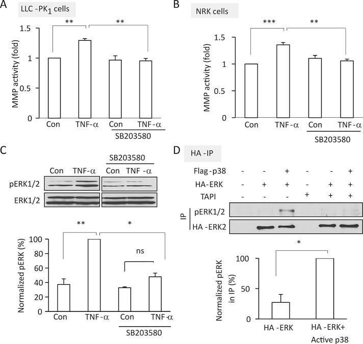 https://cdn.ncbi.nlm.nih.gov/pmc/blobs/5fb4/3608494/00ba9e14e6a9/1068fig2.jpg