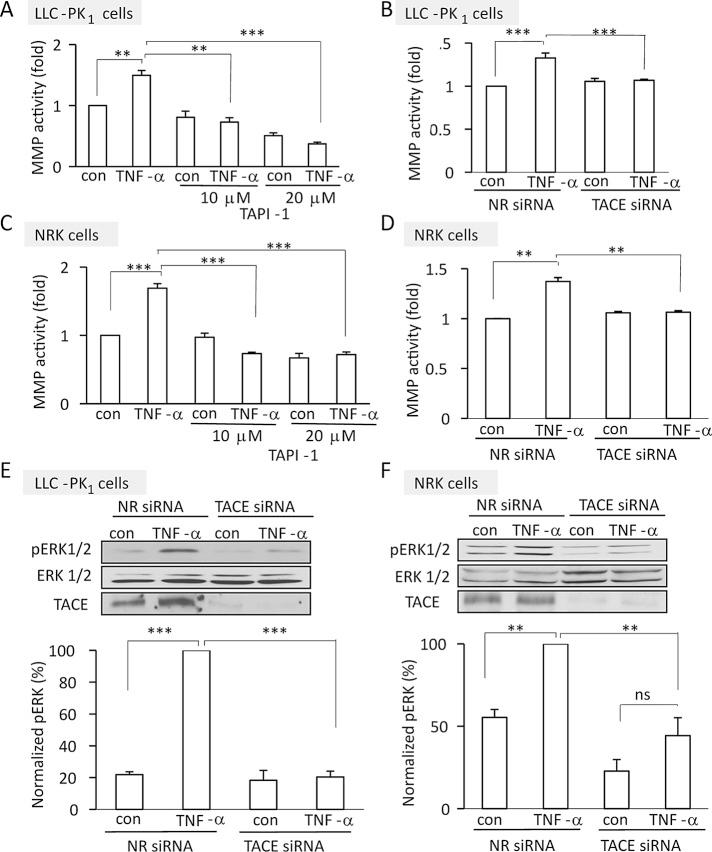 https://cdn.ncbi.nlm.nih.gov/pmc/blobs/5fb4/3608494/233a991ebf63/1068fig1.jpg