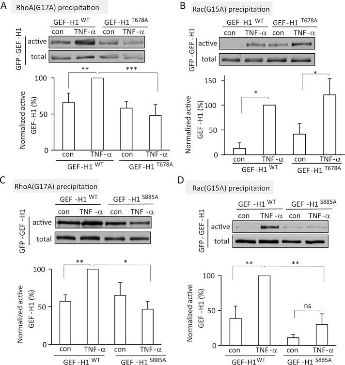 https://cdn.ncbi.nlm.nih.gov/pmc/blobs/5fb4/3608494/9f18aca6b950/1068fig7.jpg