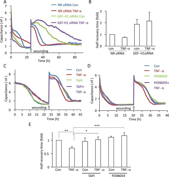 https://cdn.ncbi.nlm.nih.gov/pmc/blobs/5fb4/3608494/c7ec81790ea9/1068fig9.jpg