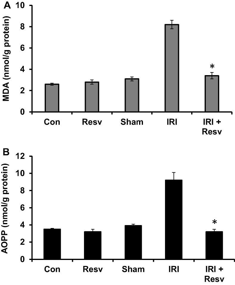 https://cdn.ncbi.nlm.nih.gov/pmc/blobs/5fb4/5815991/9207d6049758/gr3.jpg