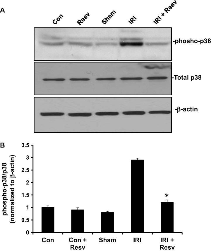 https://cdn.ncbi.nlm.nih.gov/pmc/blobs/5fb4/5815991/975f372eaf61/gr2.jpg