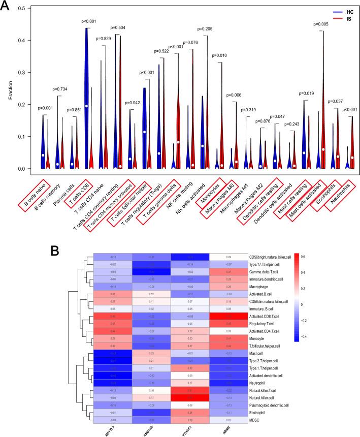 https://cdn.ncbi.nlm.nih.gov/pmc/blobs/5fb5/10859379/8116107e440e/41598_2024_53788_Fig4_HTML.jpg