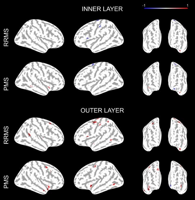 https://cdn.ncbi.nlm.nih.gov/pmc/blobs/5fb6/11059177/3811bfd5d7e8/41598_2024_60497_Fig3_HTML.jpg