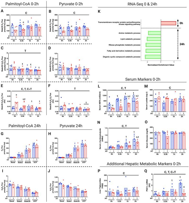 https://cdn.ncbi.nlm.nih.gov/pmc/blobs/5fb6/8788867/4f085dc17425/zqab001f1.jpg
