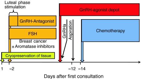 https://cdn.ncbi.nlm.nih.gov/pmc/blobs/5fb7/3133651/bbab27f63d2d/404_2011_1874_Fig2_HTML.jpg