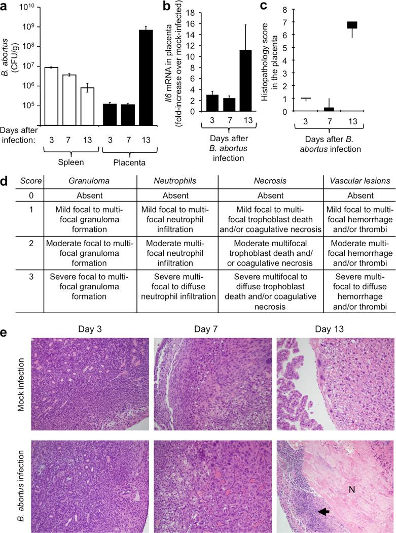 https://cdn.ncbi.nlm.nih.gov/pmc/blobs/5fb7/4869892/40008bfb2012/nihms765945f9.jpg