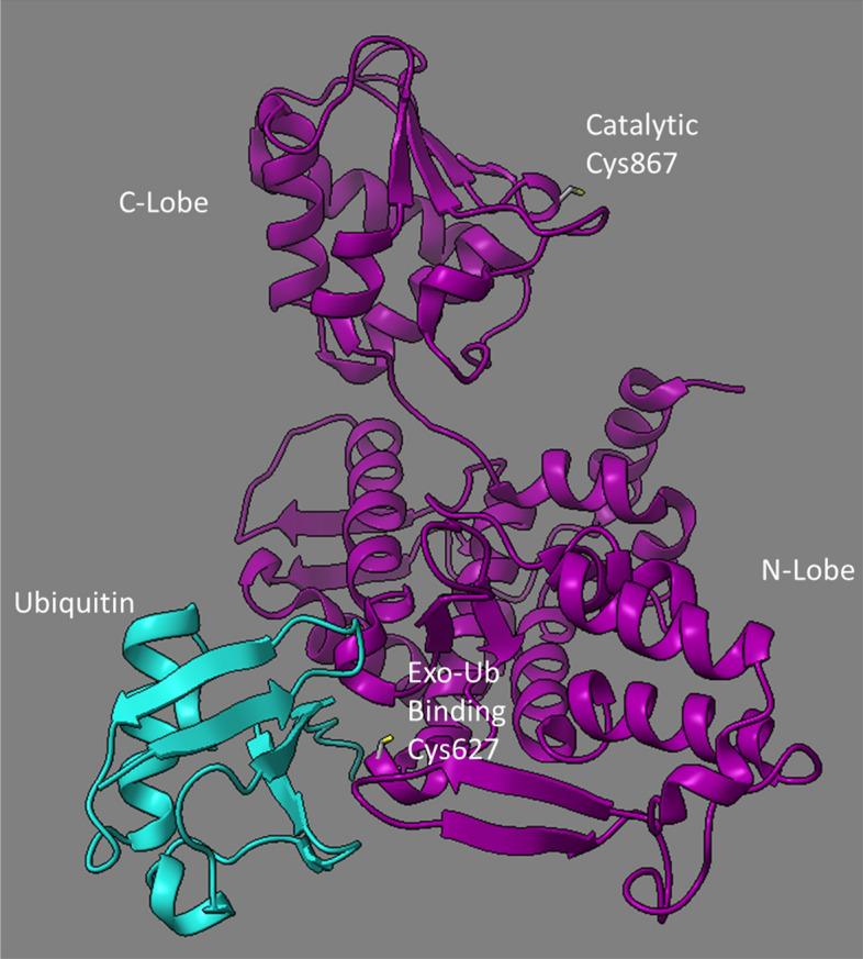 https://cdn.ncbi.nlm.nih.gov/pmc/blobs/5fba/10520017/4071751c5e97/41598_2023_42997_Fig7_HTML.jpg
