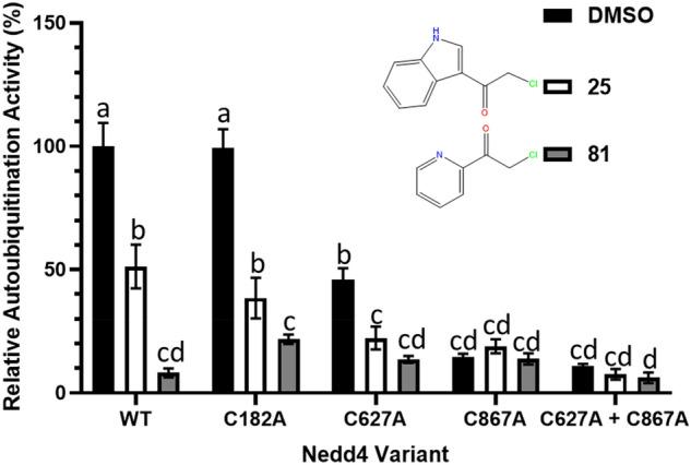 https://cdn.ncbi.nlm.nih.gov/pmc/blobs/5fba/10520017/6b7a8db226cb/41598_2023_42997_Fig9_HTML.jpg