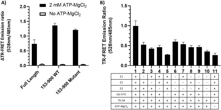 https://cdn.ncbi.nlm.nih.gov/pmc/blobs/5fba/10520017/73794edb6dd2/41598_2023_42997_Fig2_HTML.jpg