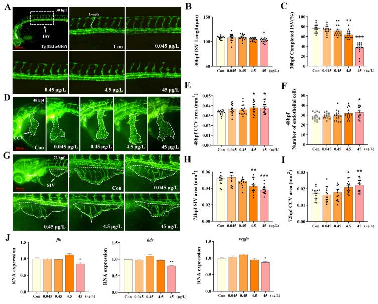 https://cdn.ncbi.nlm.nih.gov/pmc/blobs/5fba/12189126/0d552ddd9b88/biology-14-00659-g002.jpg