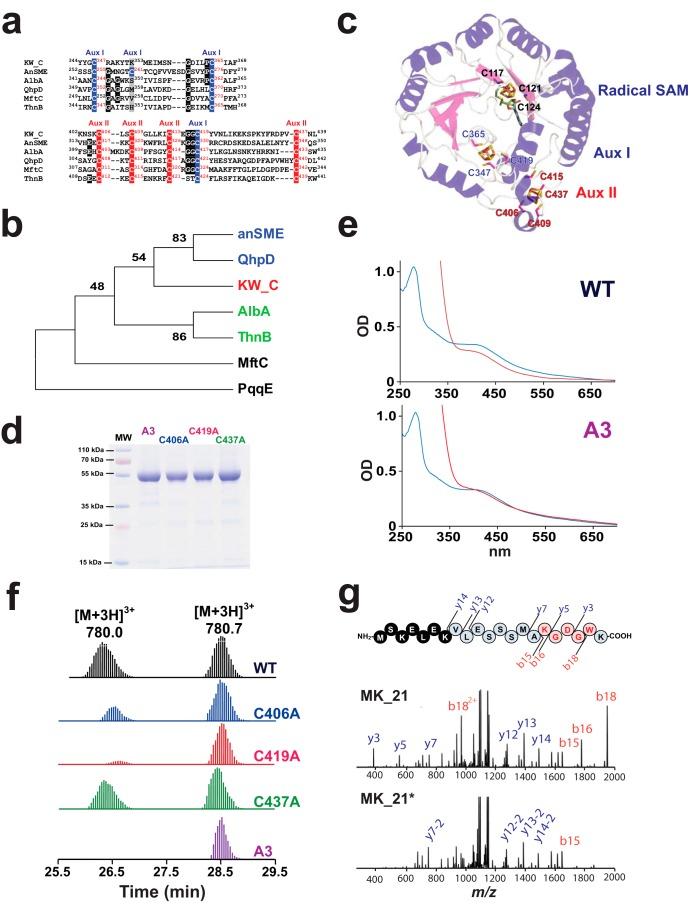 https://cdn.ncbi.nlm.nih.gov/pmc/blobs/5fbc/5491770/bd9c74e79360/zbc0281768810004.jpg