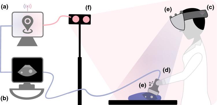 https://cdn.ncbi.nlm.nih.gov/pmc/blobs/5fbc/8332636/850479db3f02/11548_2020_2236_Fig1_HTML.jpg