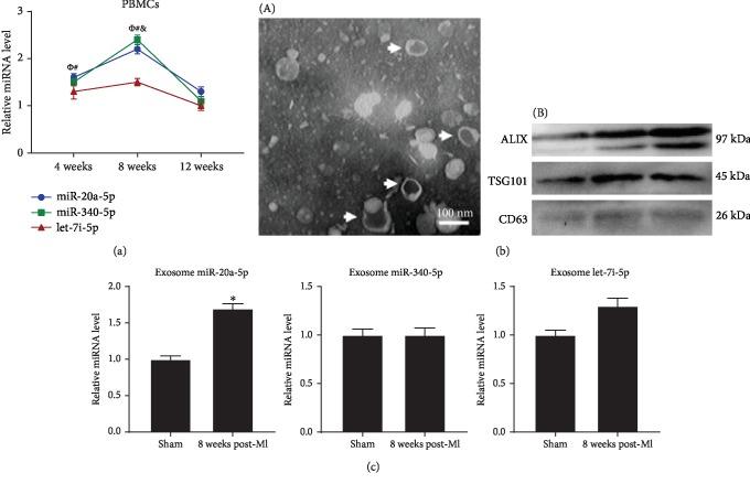 https://cdn.ncbi.nlm.nih.gov/pmc/blobs/5fbe/6914954/c092cf23f6ed/DM2019-5093803.005.jpg