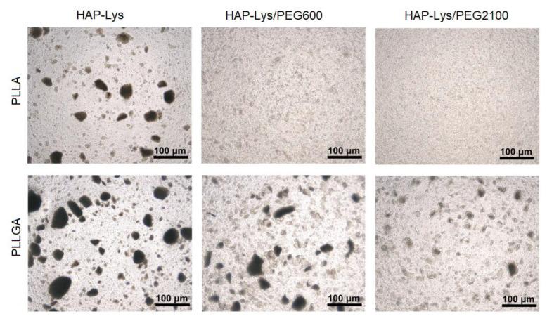 https://cdn.ncbi.nlm.nih.gov/pmc/blobs/5fc0/7556045/0019d80de3bd/ijms-21-06711-g004.jpg