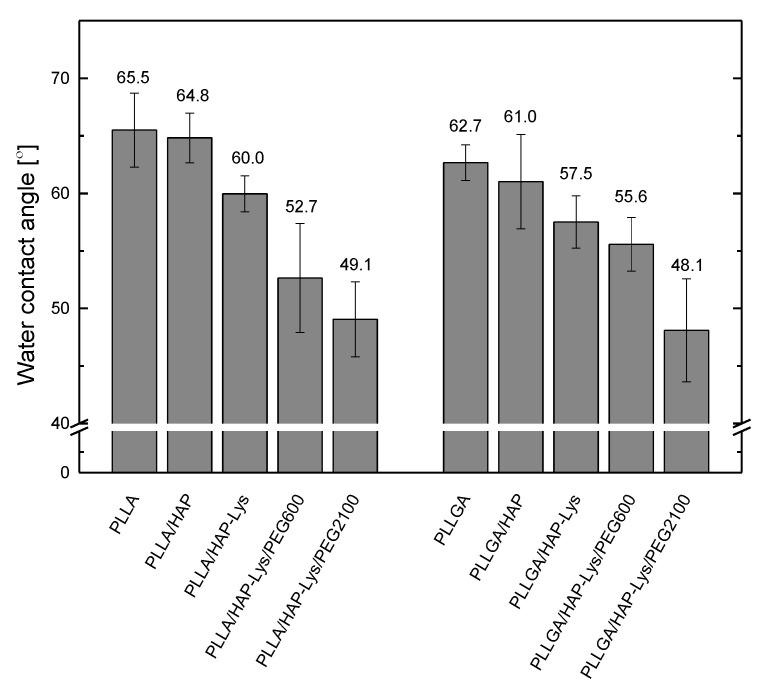 https://cdn.ncbi.nlm.nih.gov/pmc/blobs/5fc0/7556045/668a6da674ca/ijms-21-06711-g005.jpg