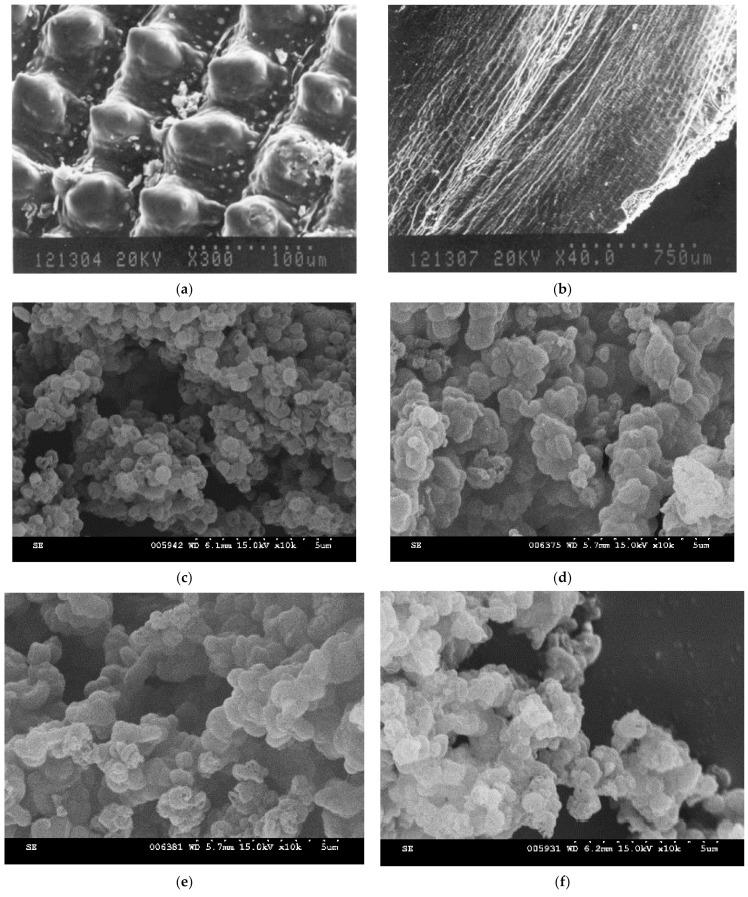 https://cdn.ncbi.nlm.nih.gov/pmc/blobs/5fc0/7961793/bcb1b3162588/materials-14-01214-g005.jpg