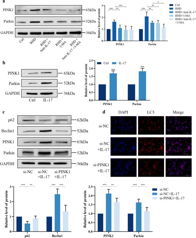 https://cdn.ncbi.nlm.nih.gov/pmc/blobs/5fc2/12052801/189108028839/10753_2024_2094_Fig7_HTML.jpg