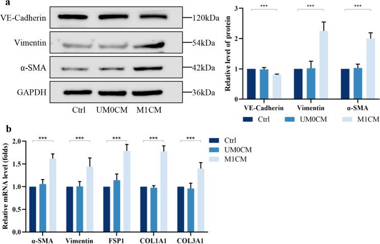 https://cdn.ncbi.nlm.nih.gov/pmc/blobs/5fc2/12052801/3e071902a35b/10753_2024_2094_Fig4_HTML.jpg