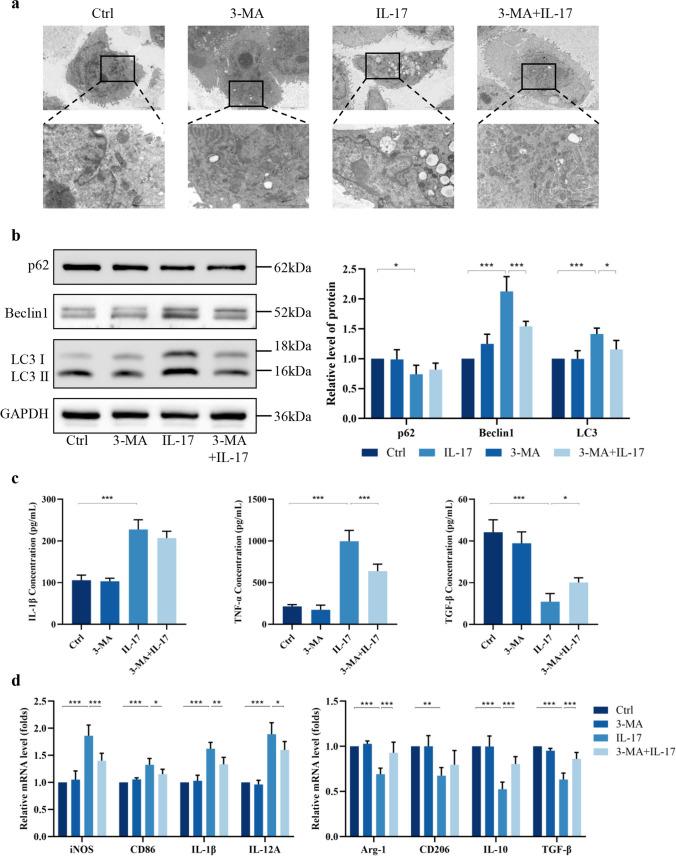https://cdn.ncbi.nlm.nih.gov/pmc/blobs/5fc2/12052801/45775ca99c3b/10753_2024_2094_Fig6_HTML.jpg