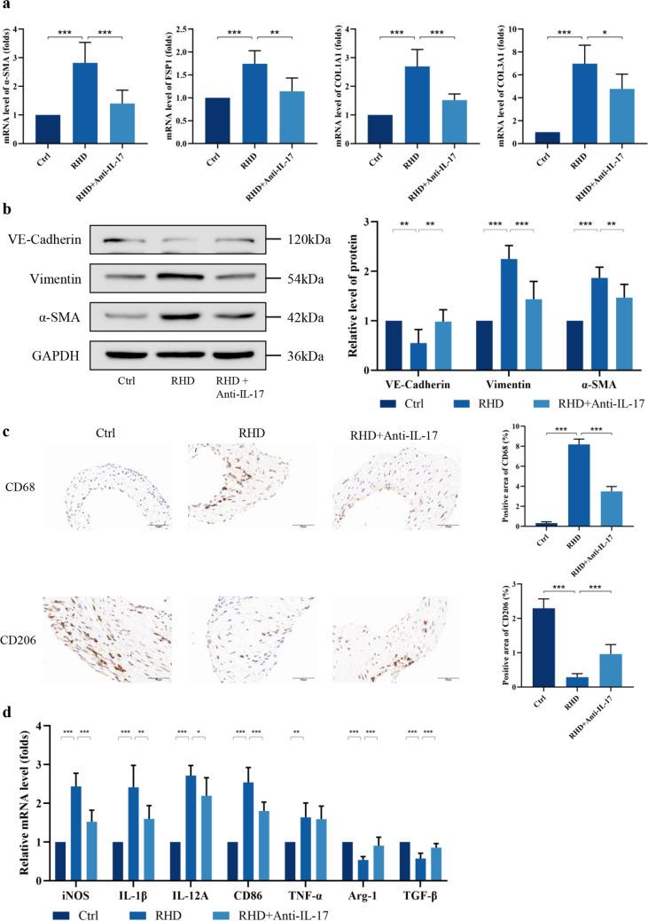 https://cdn.ncbi.nlm.nih.gov/pmc/blobs/5fc2/12052801/9ed44d7fa2be/10753_2024_2094_Fig2_HTML.jpg
