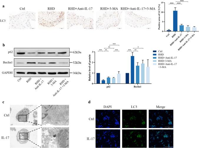 https://cdn.ncbi.nlm.nih.gov/pmc/blobs/5fc2/12052801/b4110097b011/10753_2024_2094_Fig5_HTML.jpg