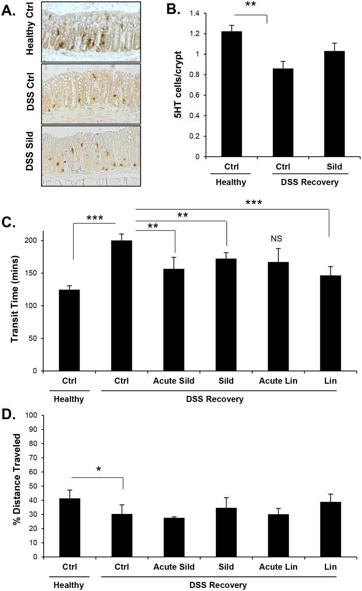 https://cdn.ncbi.nlm.nih.gov/pmc/blobs/5fc2/5407793/189a6d4769a1/pone.0176673.g004.jpg
