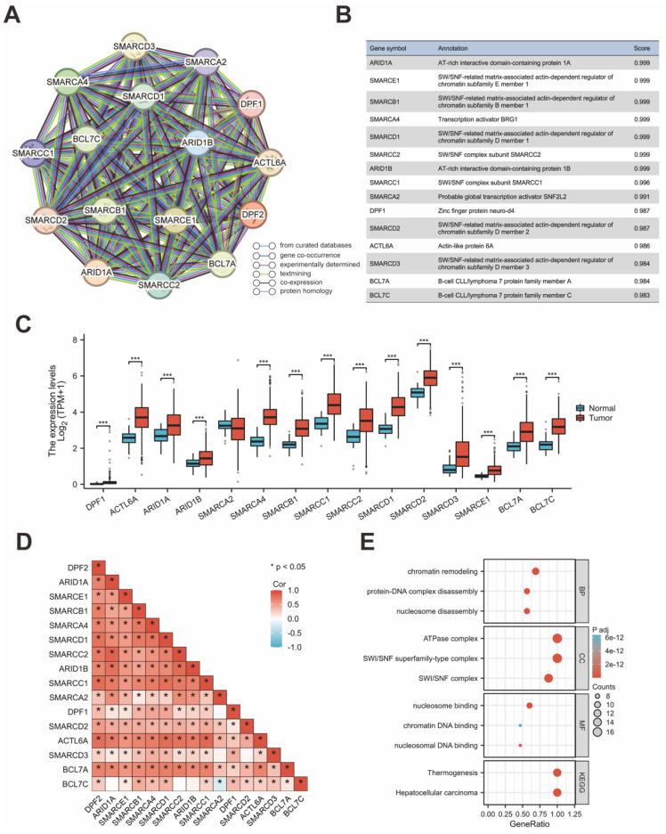 https://cdn.ncbi.nlm.nih.gov/pmc/blobs/5fc4/11242344/eb9a142bb319/jcav15p4668g006.jpg
