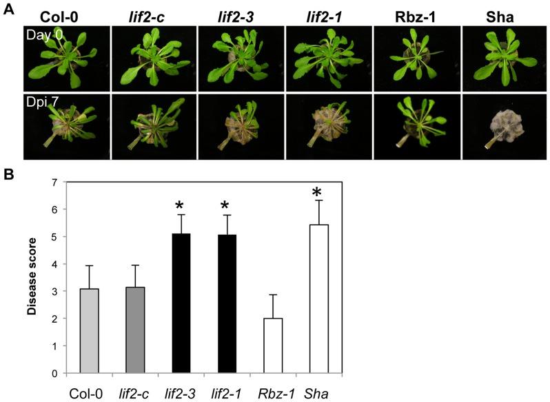 https://cdn.ncbi.nlm.nih.gov/pmc/blobs/5fc4/4051675/2cd2e5ff86a1/pone.0099343.g005.jpg