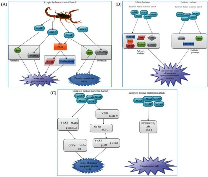 https://cdn.ncbi.nlm.nih.gov/pmc/blobs/5fc6/11678150/1707b4c2c55d/pharmaceuticals-17-01735-g003.jpg