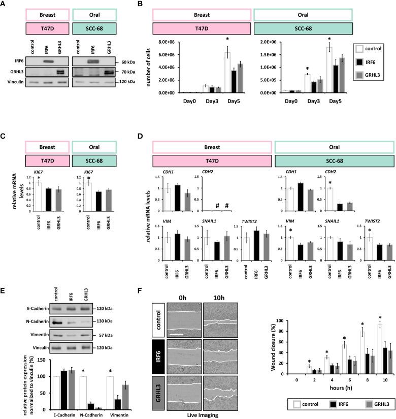 https://cdn.ncbi.nlm.nih.gov/pmc/blobs/5fc6/9706198/a92cf631167d/fonc-12-1023072-g003.jpg