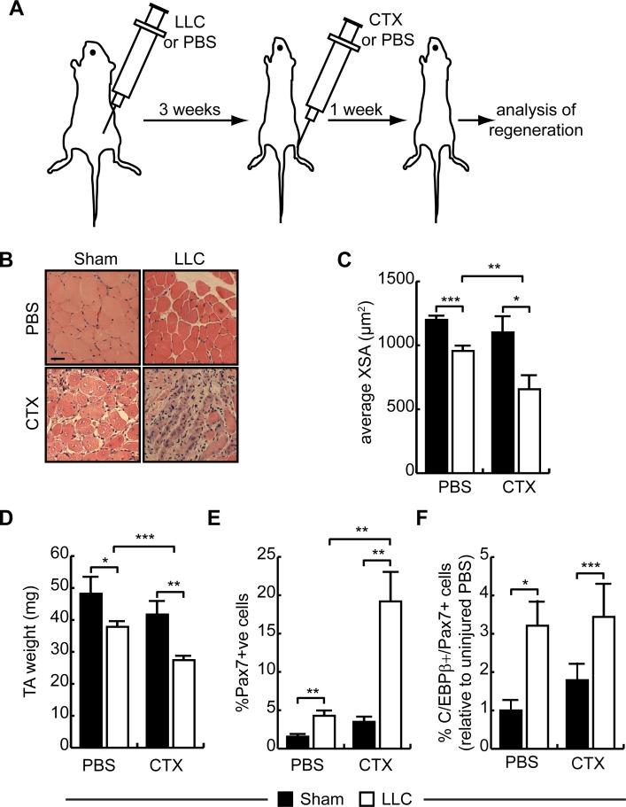 https://cdn.ncbi.nlm.nih.gov/pmc/blobs/5fd0/4692409/a31a77fd45f5/pone.0145583.g005.jpg