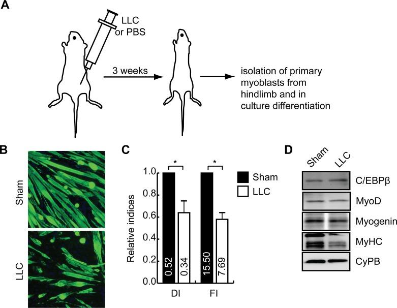 https://cdn.ncbi.nlm.nih.gov/pmc/blobs/5fd0/4692409/c69c9fa1fcfb/pone.0145583.g004.jpg