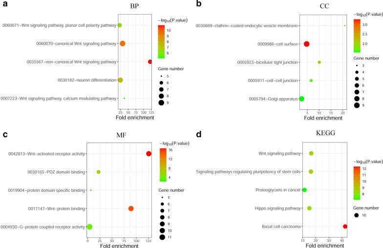 https://cdn.ncbi.nlm.nih.gov/pmc/blobs/5fd4/7901191/6e7fbe77d7b9/12876_2021_1643_Fig8_HTML.jpg
