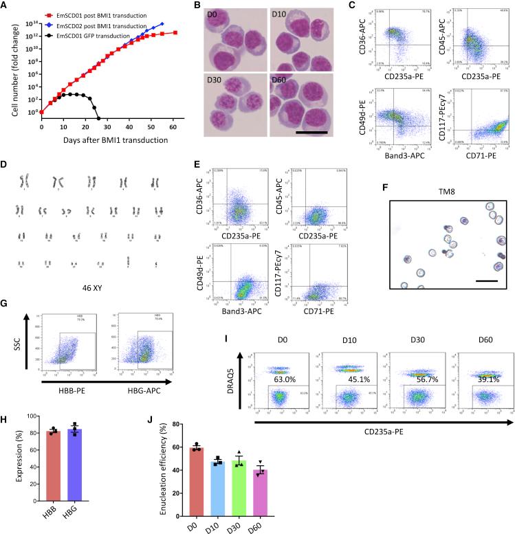 https://cdn.ncbi.nlm.nih.gov/pmc/blobs/5fd4/8116606/79cbfeedea48/gr4.jpg