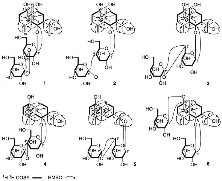 https://cdn.ncbi.nlm.nih.gov/pmc/blobs/5fd5/6017781/658c16ee197b/molecules-23-00642-g002.jpg