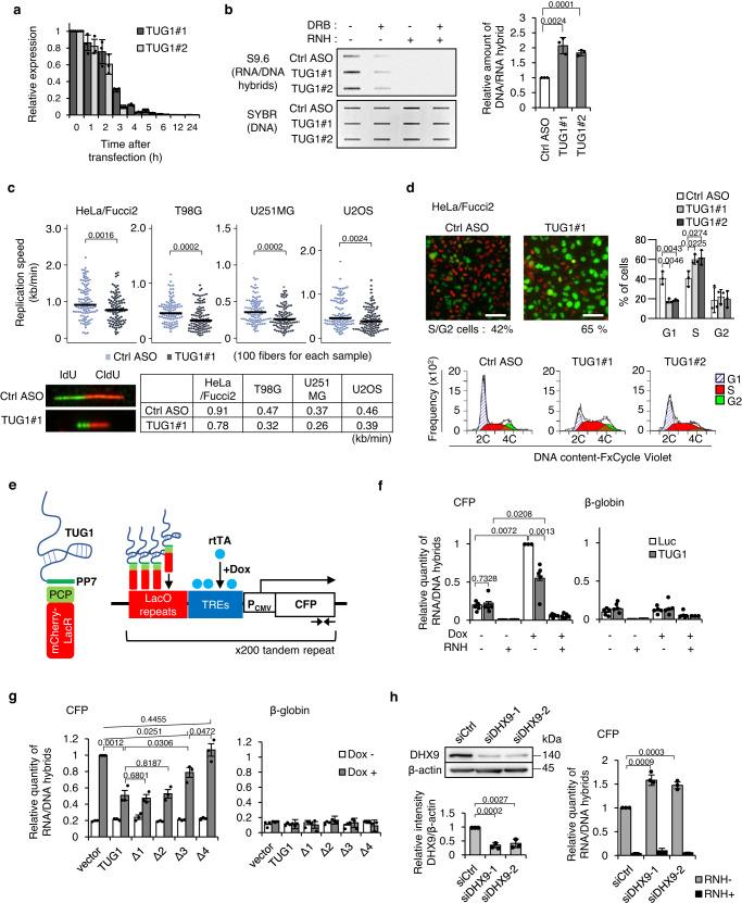 https://cdn.ncbi.nlm.nih.gov/pmc/blobs/5fd6/10444773/4988b907b086/41467_2023_40243_Fig4_HTML.jpg