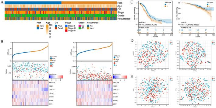 https://cdn.ncbi.nlm.nih.gov/pmc/blobs/5fd6/11811884/636eb30fe1c8/CAM4-14-e70634-g001.jpg